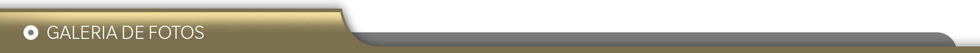 Galeria de Fotos